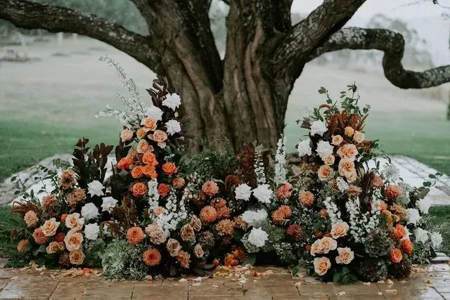 The Pavalion Tree ceremony 1 640w 800w