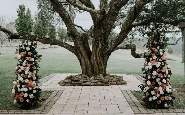 The Pavalion Tree ceremony 10 68945aae 640w 800h