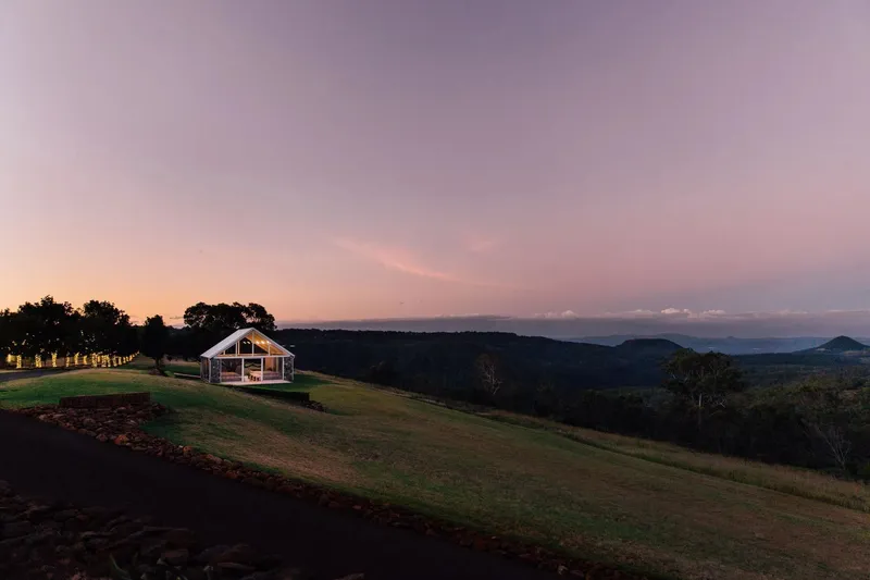 The Pavalion Tree chloe dj 580 286 29 2880w 800w