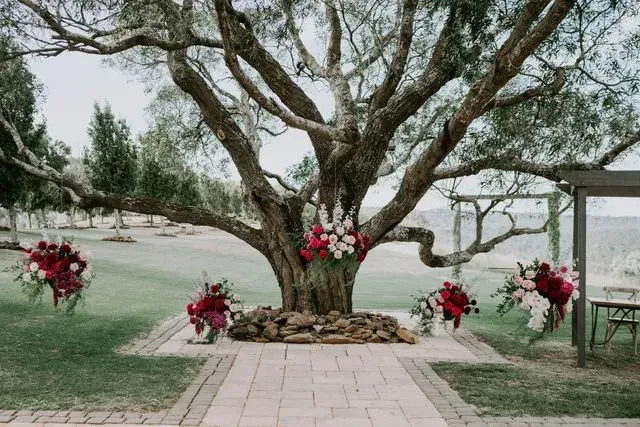 The Pavalion Tree preston peak functions pavilion 8 640w 800w